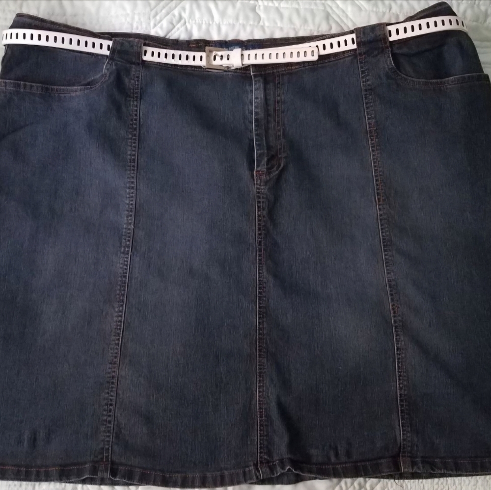 Avenue Brand Plus Size Jean Skirt